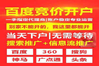 突破关键词竞价排名困境的案例解析